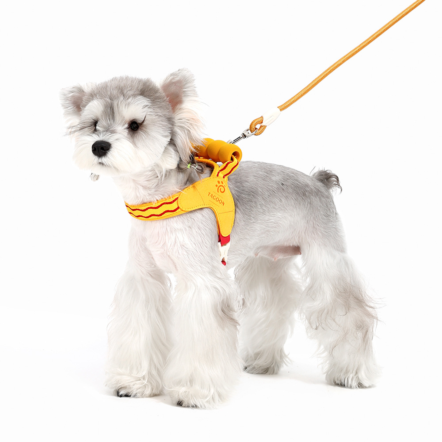 Pet Walk & Travel Essentials