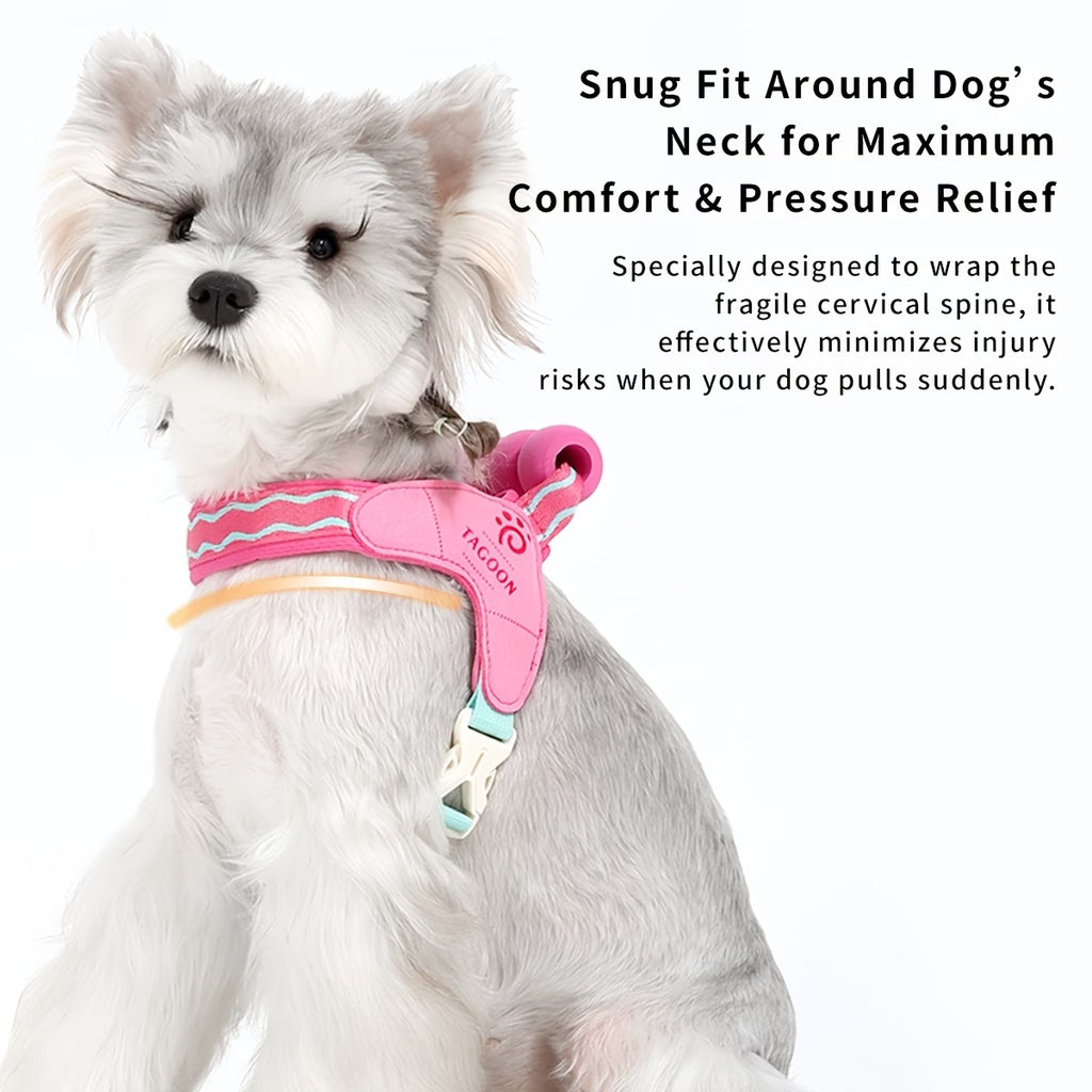 Summer Dog Harness + Leash Set, Dopamine Color Series