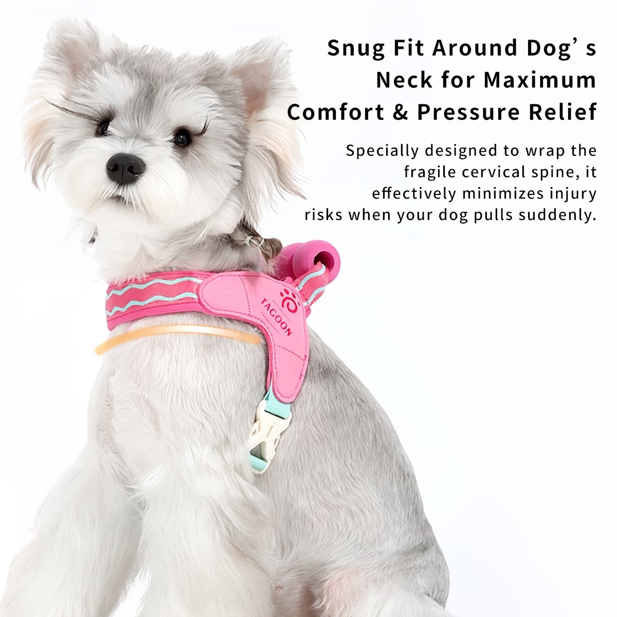 Summer Dog Harness + Leash Set, Dopamine Color Series