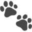 Pet Training & Behavior