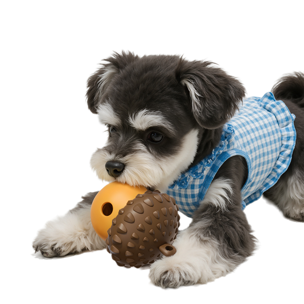 Pet Treat Dispenser Toys—For Cats and Dogs