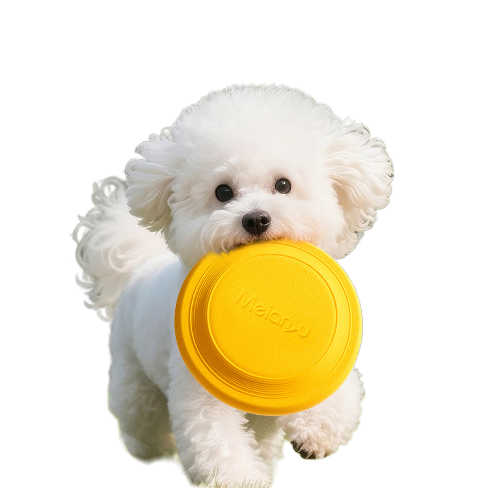 Soft Frisbee for Outdoor Dog Training