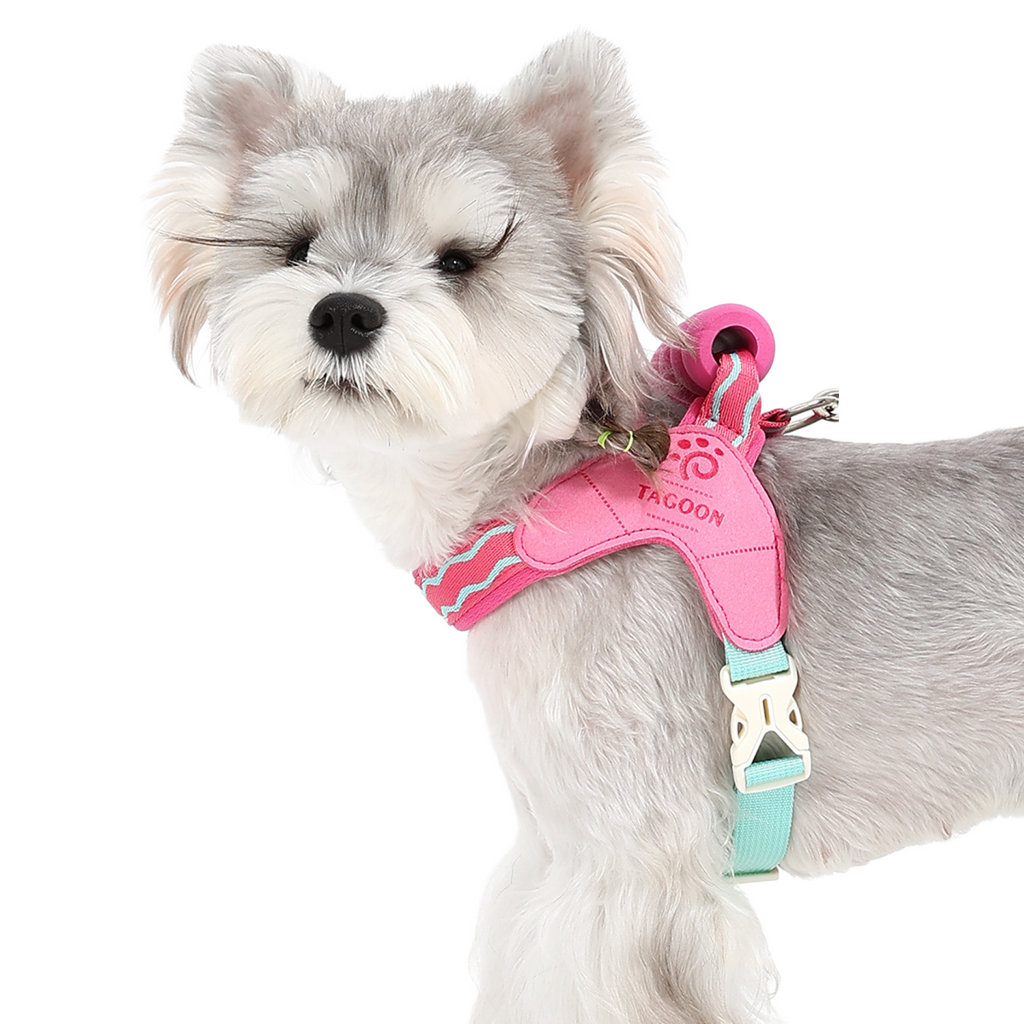 Summer Pet Harness, Dopamine Color Series