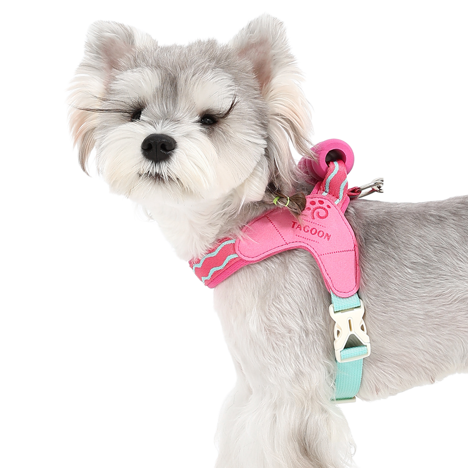 Summer Pet Harness, Dopamine Color Series