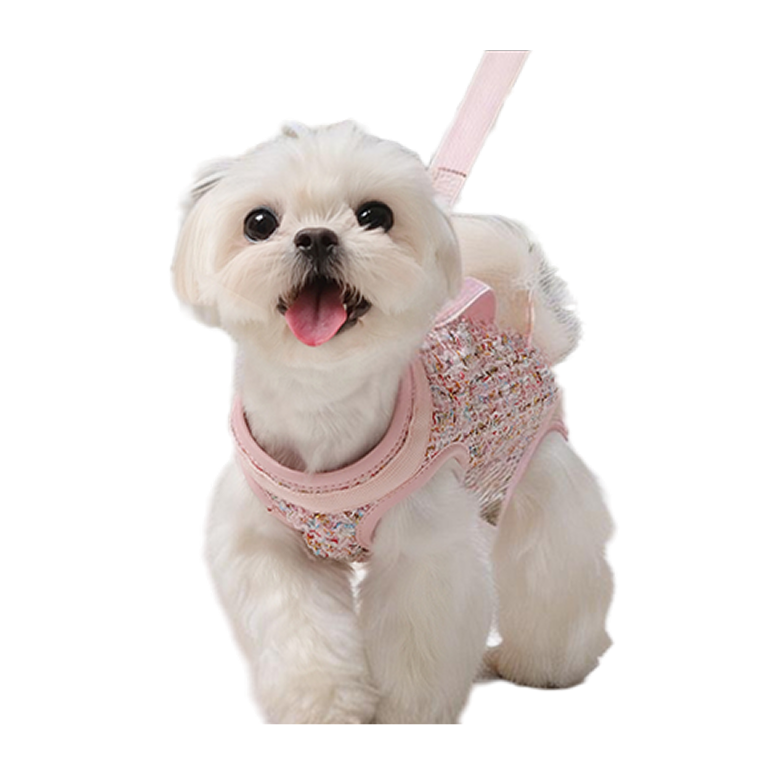 Dog Lift Harness Dog Carrier- with Soft Cushion Belt Main image
