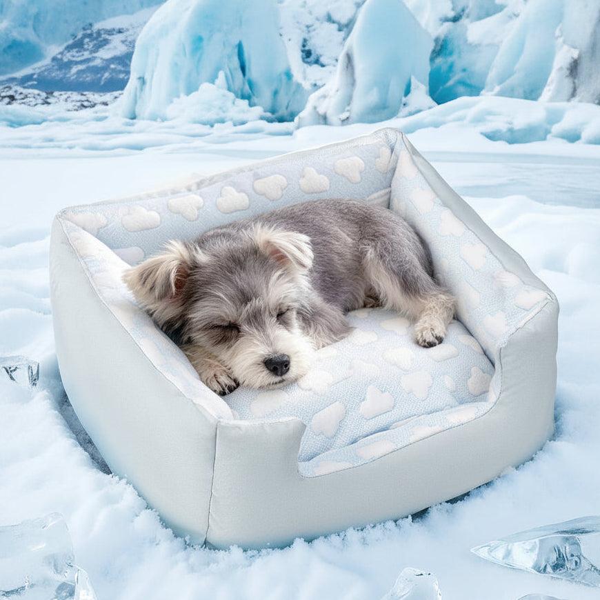 Summer Dog Bed – Washable & Breathable for Small Breeds
