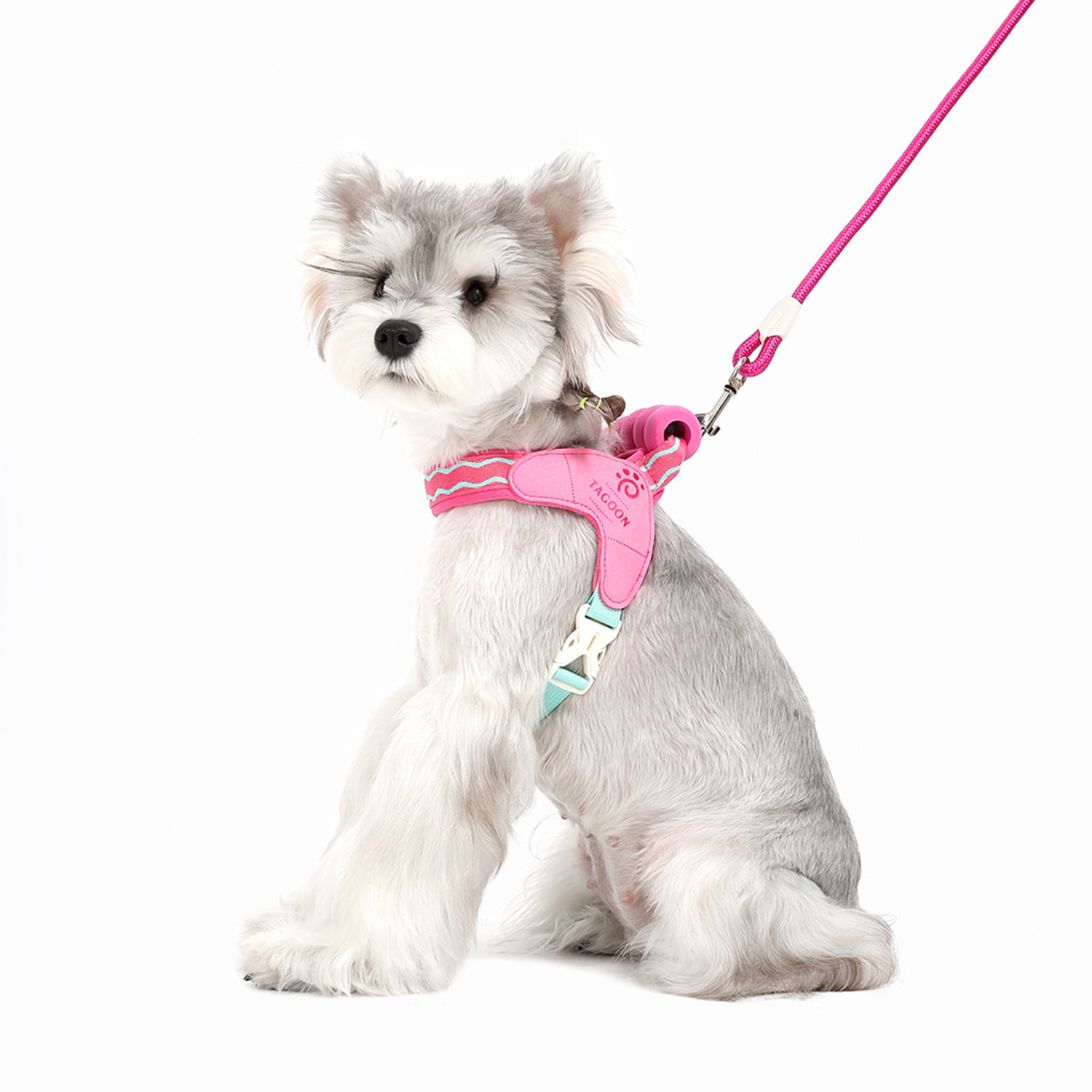 Magenta 1 Main image